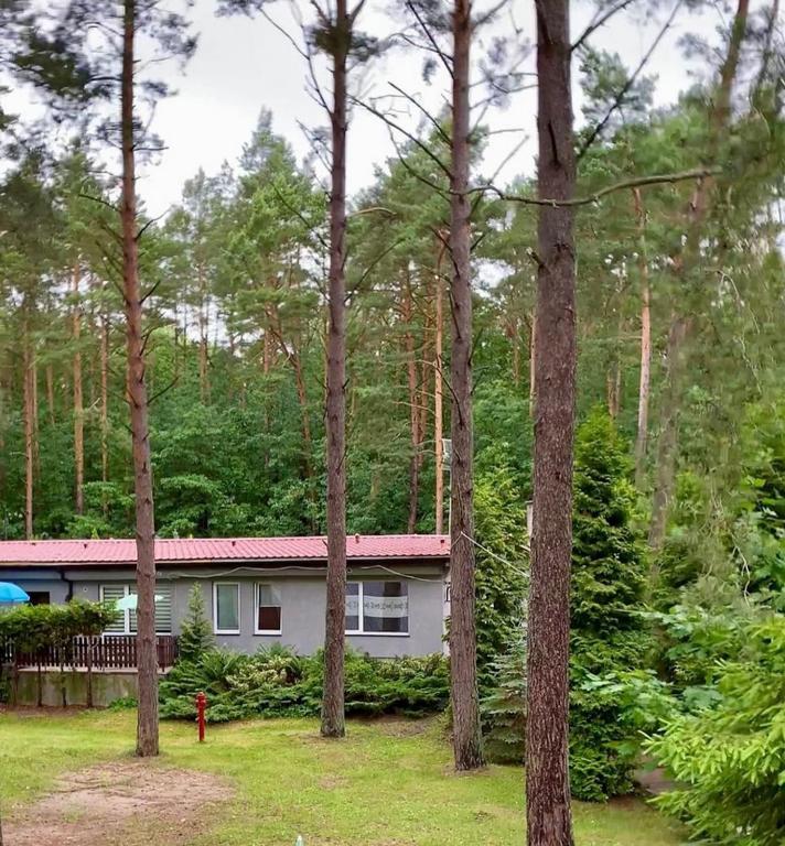 Osrodek Wypoczynkowy Zakatek Lodge *